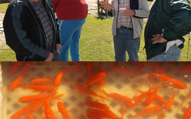 Gansbaai Funky Fynbos 14